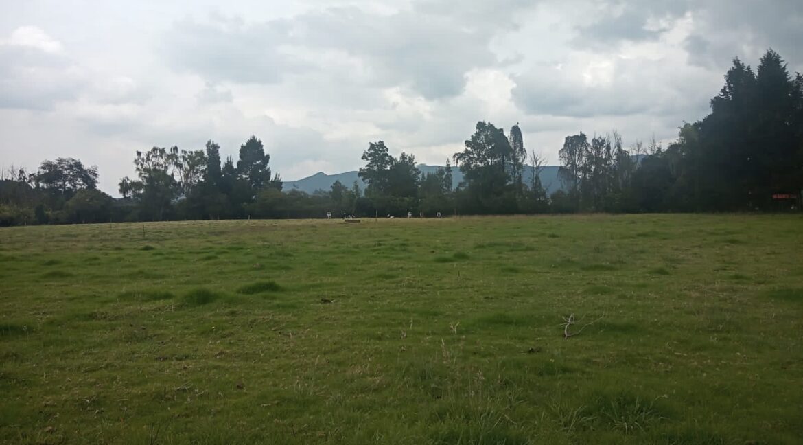 image00011