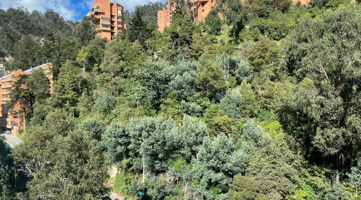 WhatsApp Image 2024-05-27 at 9.30.24 AM