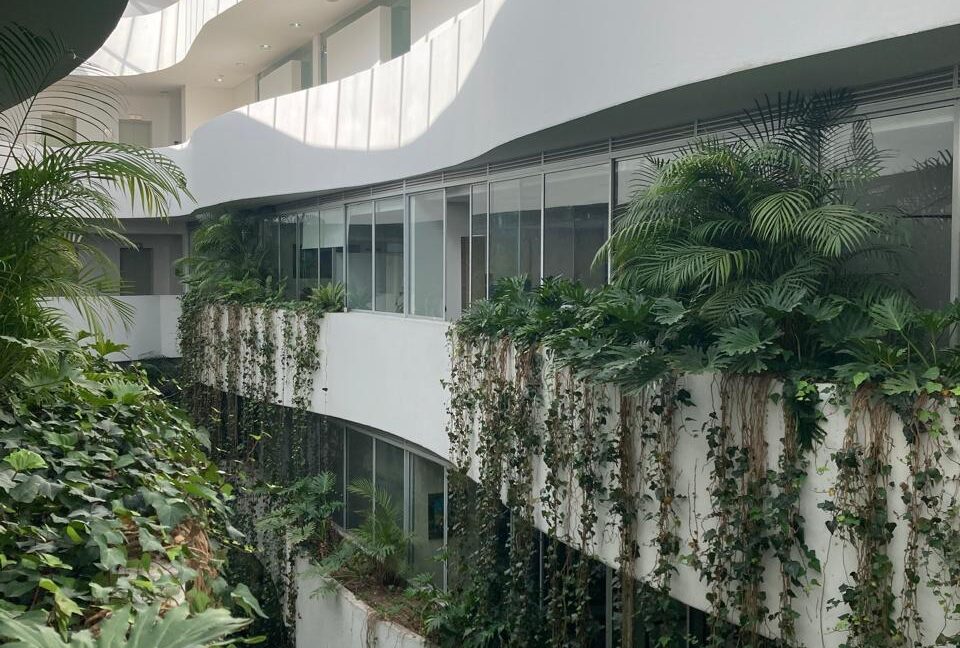 WhatsApp Image 2025-09-06 at 9.54.48 AM (1)