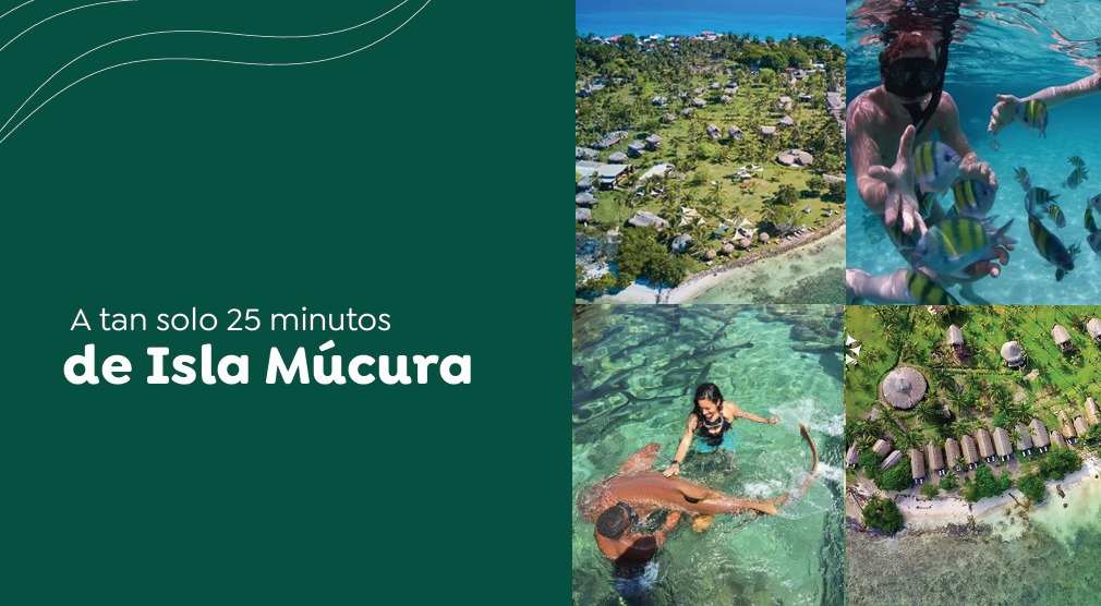 WhatsApp Image 2025-12-03 at 3.31.03 PM