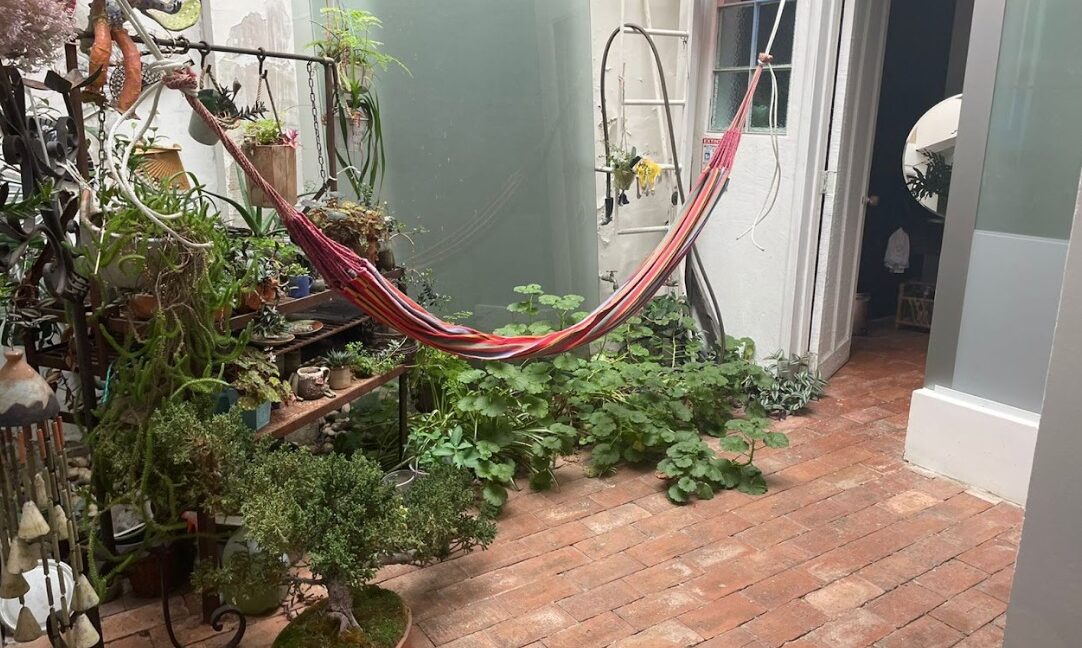 WhatsApp Image 2025-12-19 at 2.28.17 PM