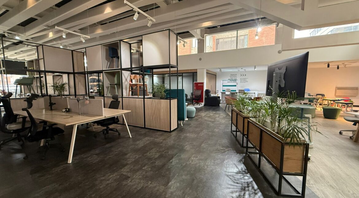 WhatsApp Image 2026-02-13 at 4.42.01 PM (1)