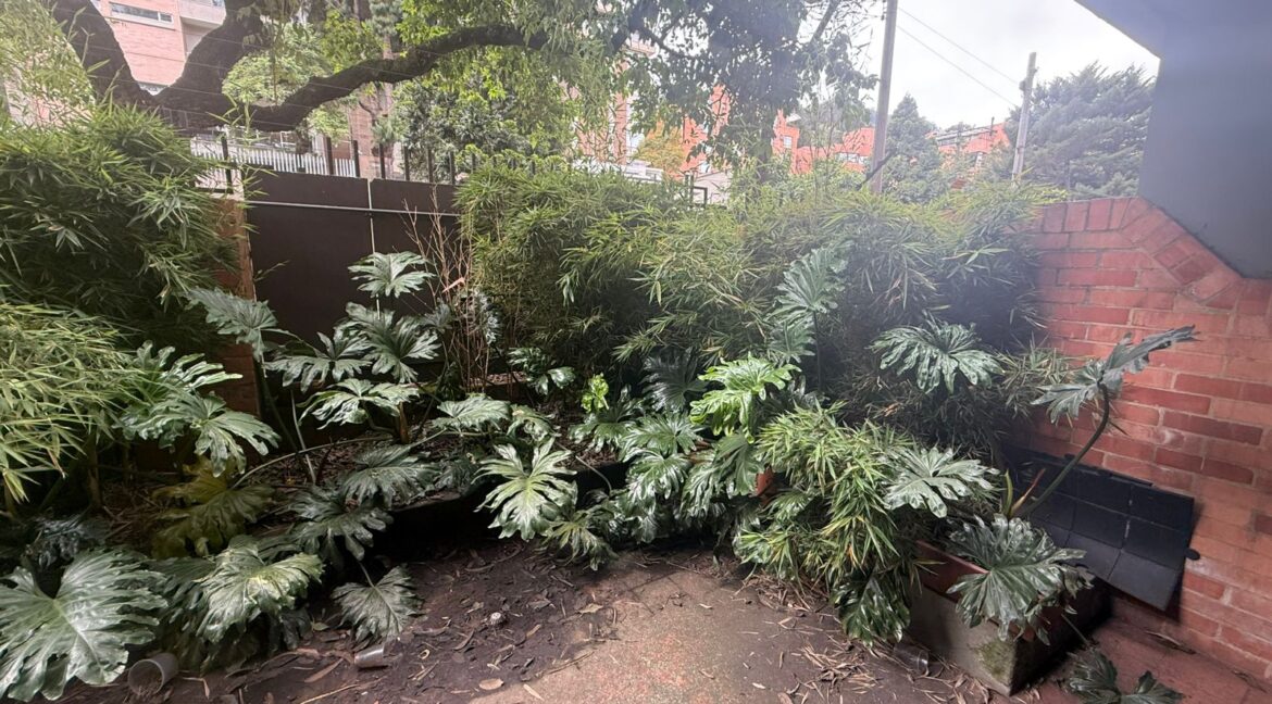 WhatsApp Image 2026-04-11 at 12.49.47 PM (1)