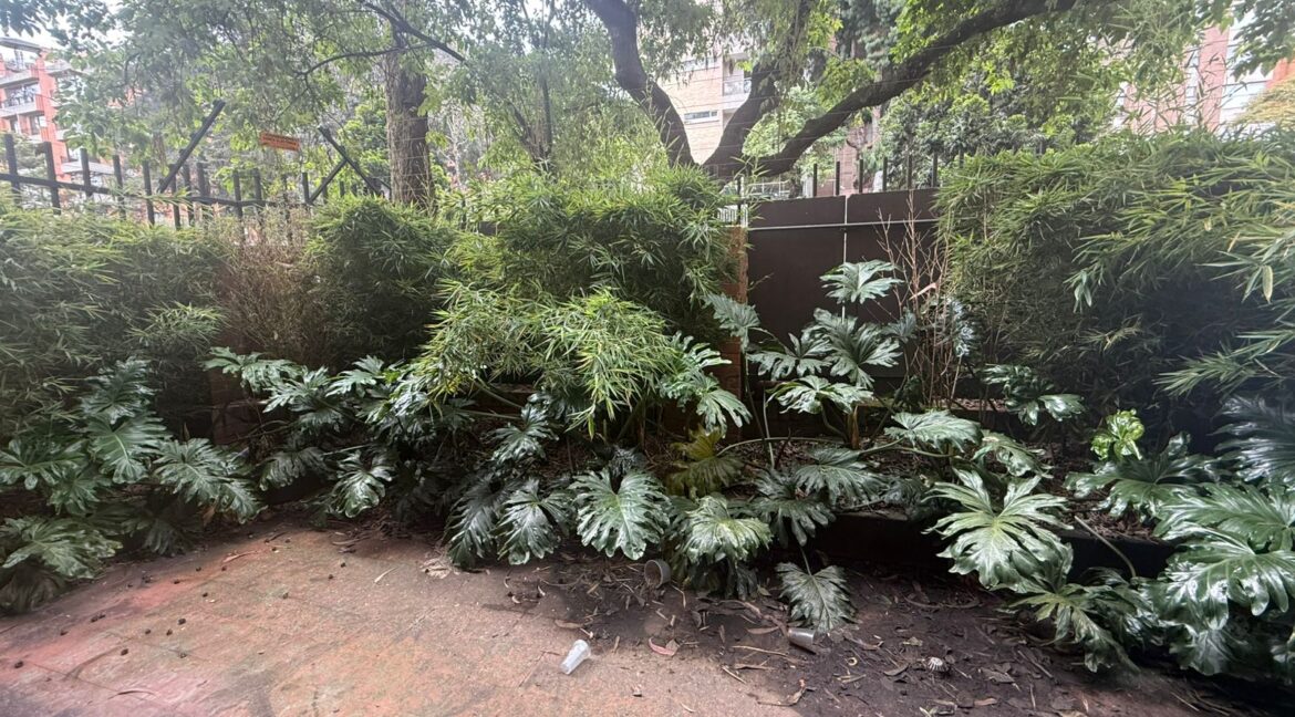 WhatsApp Image 2026-04-11 at 12.49.47 PM